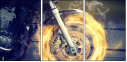 44513286