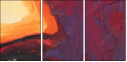 45492260