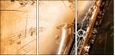 45515921