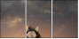 46097266
