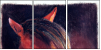 46243808