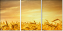 46459823