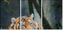 46669646