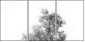 47020348