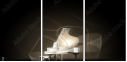 47091704