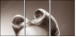 47684799