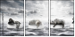 49167138