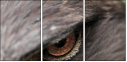 49245808