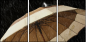 49306047