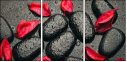 49357610