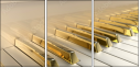 49452516
