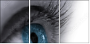 49921743