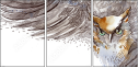50509602