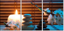 50934171