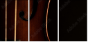 50978899