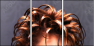 51430961