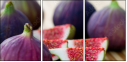 52014179