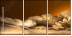 52670728