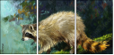 52717561
