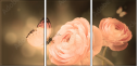 52744741