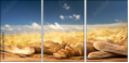 52793015