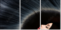 52931906