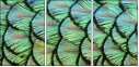53512479