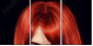 53895849