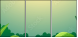 54070093