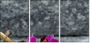 54405316