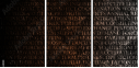 54969981