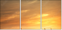 54974402