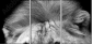 55206469