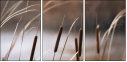 55661015