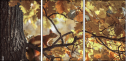 55703900