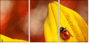 55820987