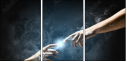 55886651