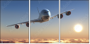 56401870