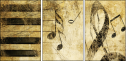 5643987