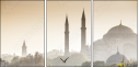 56528120