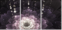 57185040