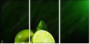 57479075