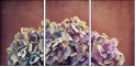 57545430