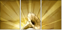 57686954