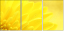 57915870