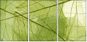 58647115