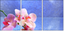 59560560