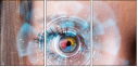 60478677