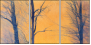61864050