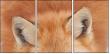 62758452